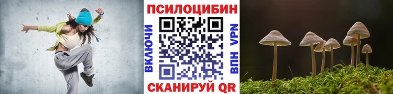Псилоцибиновые грибы Psilocybe  Пошехонье 